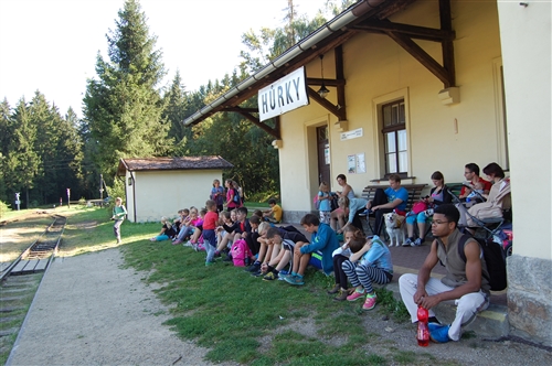 Obrázek v galerii